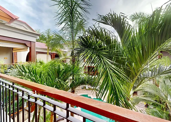 Macaw Oceans Club#20